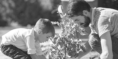 black and white photograph of a man and a young child planting a tree